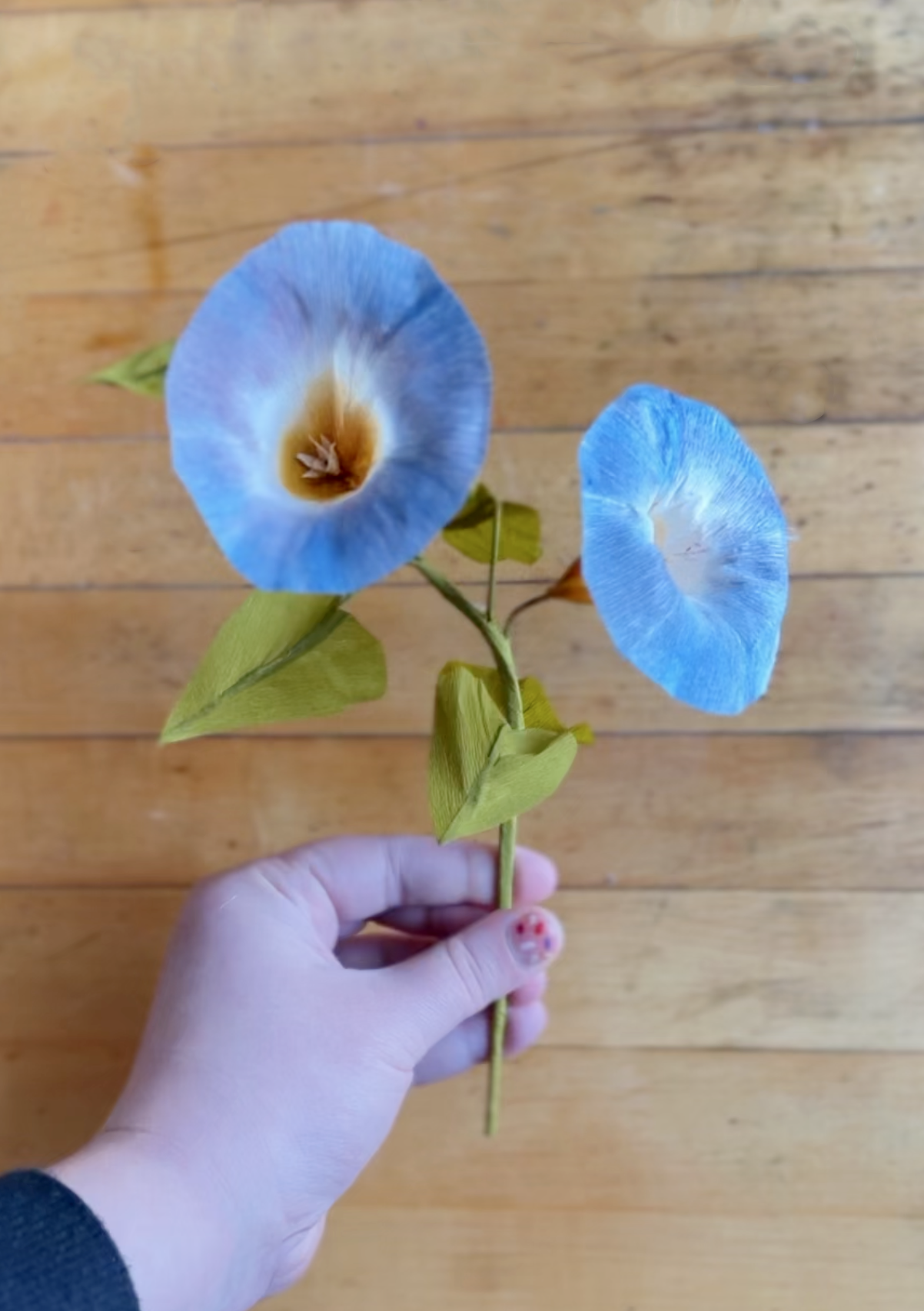 Paper Flower Workshop: September Birth Month Flower! Morning Glory- Sept 12