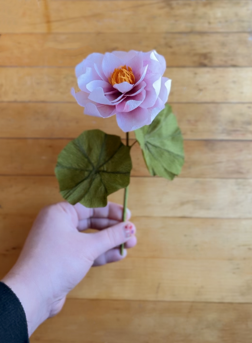 Paper Flower Workshop: July Birth Month Flower! Water Lily- July 11