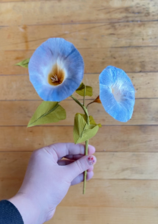 Paper Flower Workshop: September Birth Month Flower! Morning Glory- Sept 12