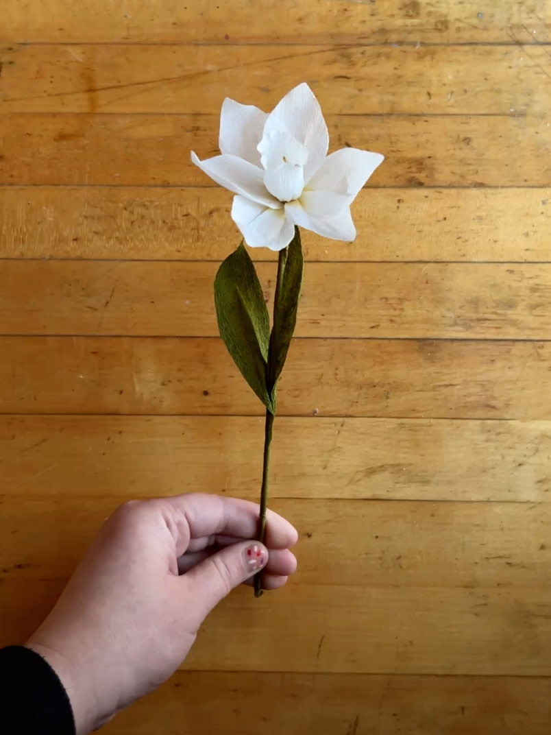 Paper Flower Workshop: December Birth Month Flower! Paperwhite Narcissus - Dec 5